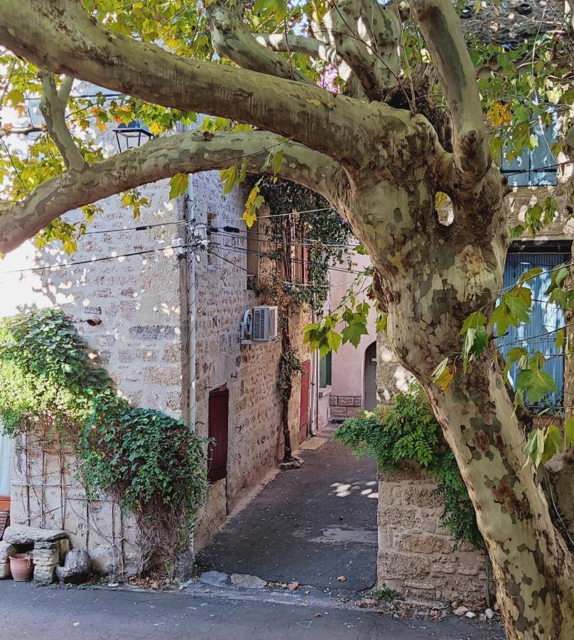 Villa Fontilha Usclas-l'Herault Exterior foto